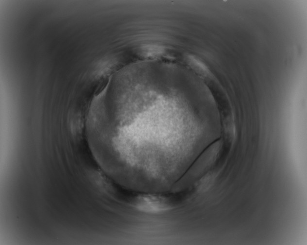 X0000085250372200703301815