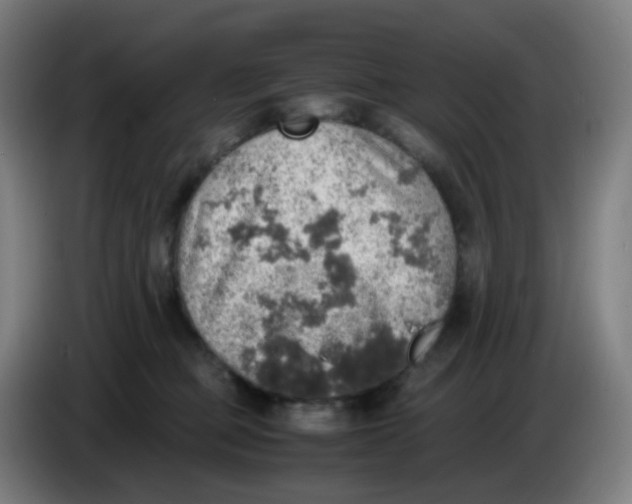 X0000085250373200703301815