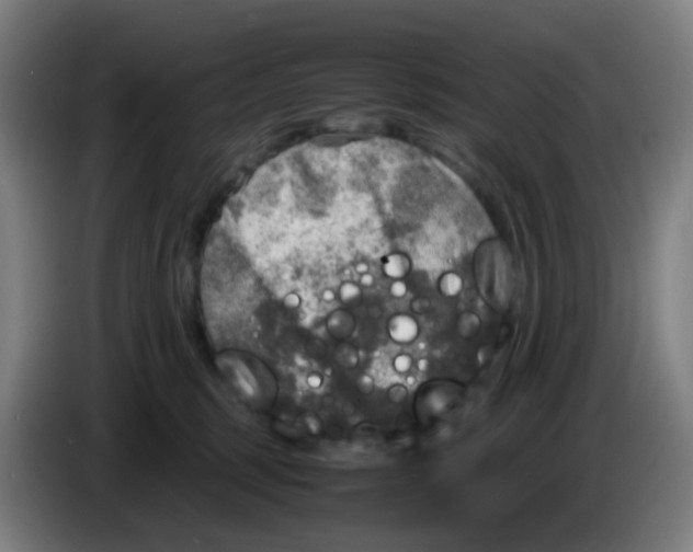 X0000085250375200703301815