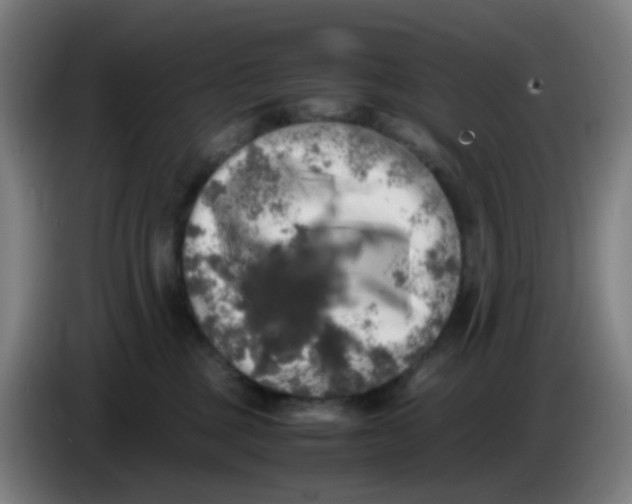 X0000085250377200703301815