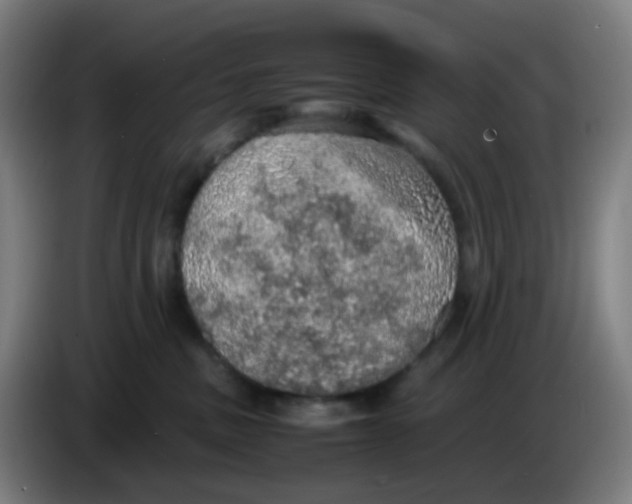 X0000085250379200703301815