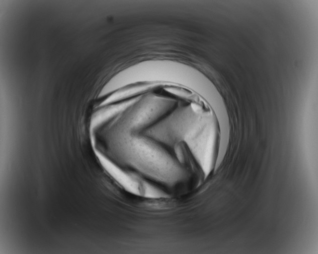 X0000085250381200703301815