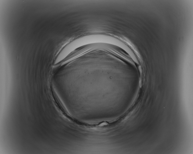 X0000085250385200703301815