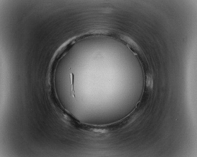 X0000085250388200703301815