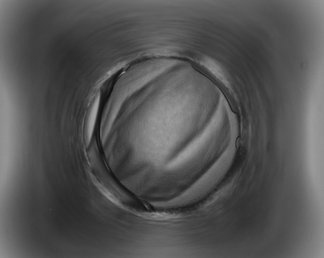 X0000085250389200703301815