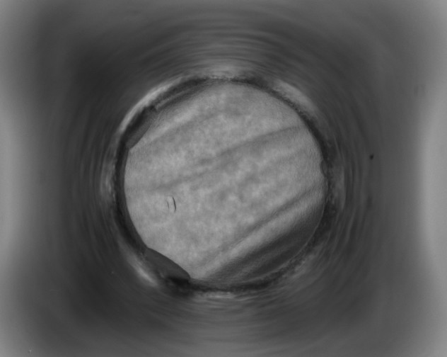 X0000085250392200703301815