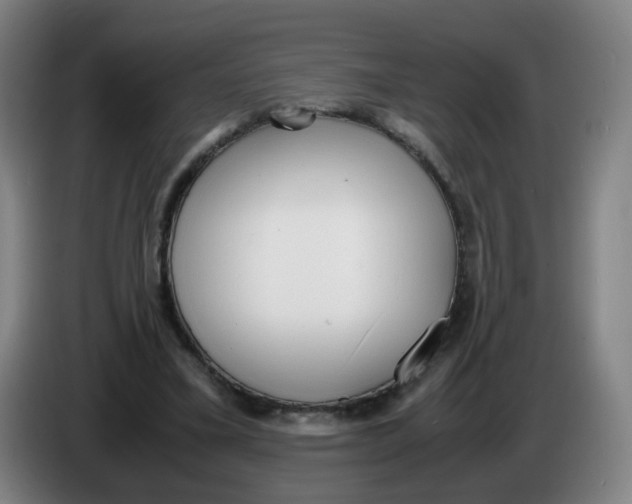 X0000085250395200703301815