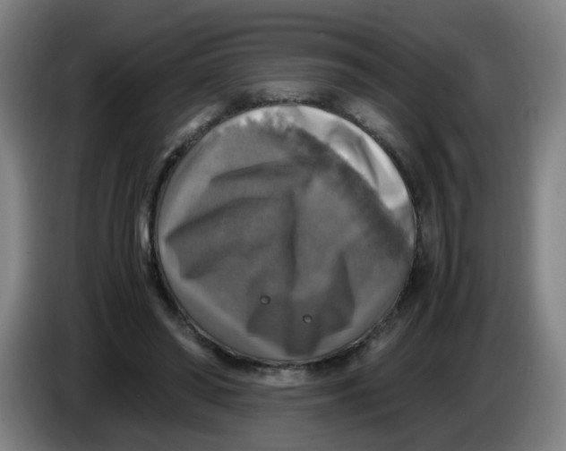 X0000085250398200703301815