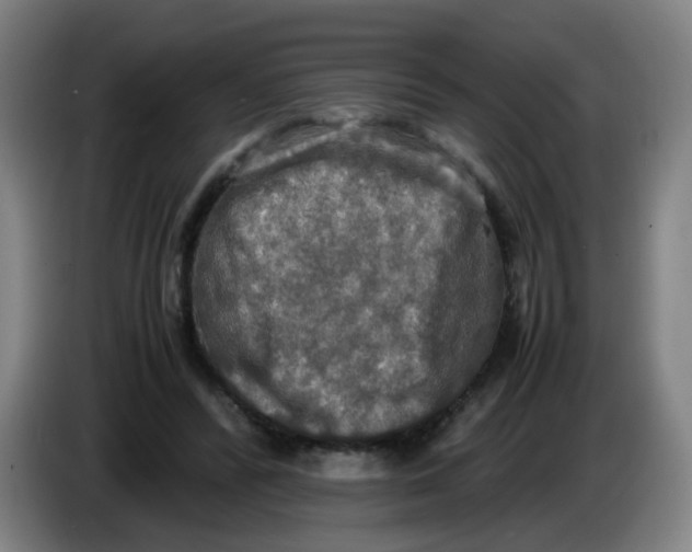 X0000085250400200703301815