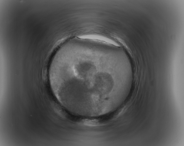 X0000085250403200703301815