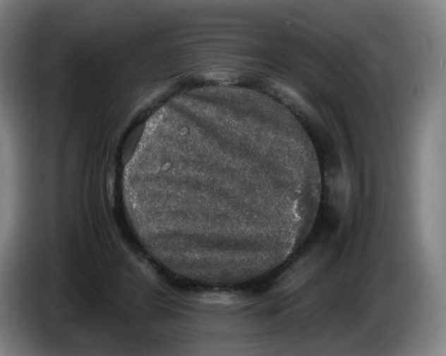 X0000085250404200703301815