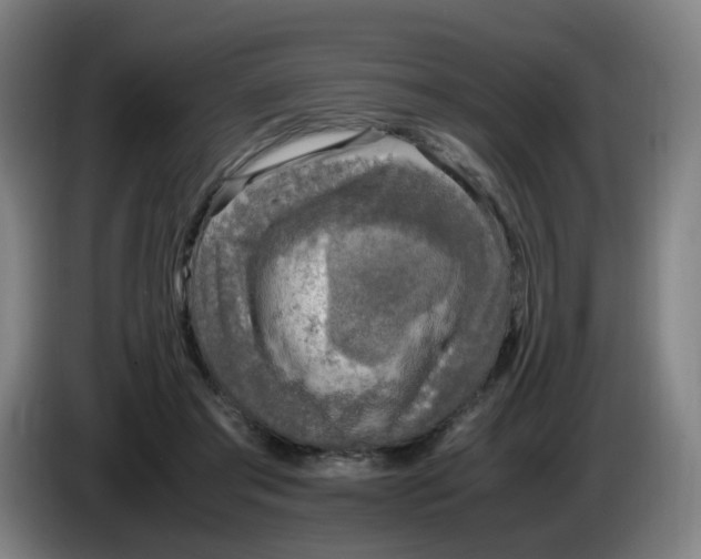 X0000085250405200703301815