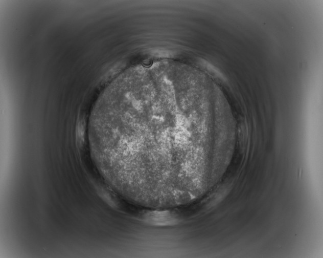 X0000085250406200703301815