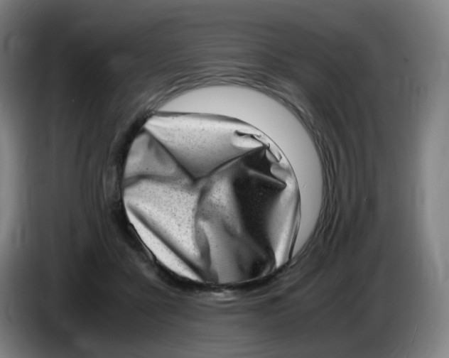 X0000085250411200703301814