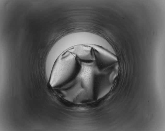 X0000085250412200703301814