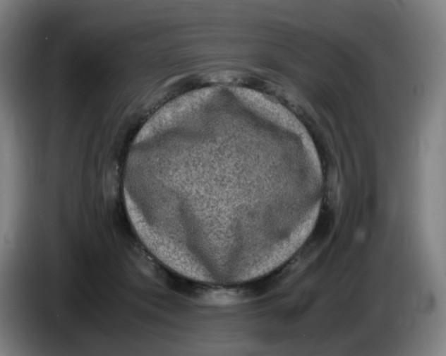 X0000085250413200703301814