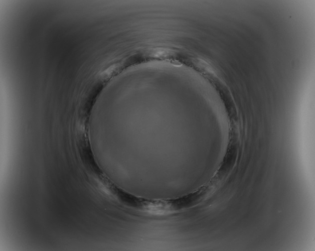 X0000085250415200703301814