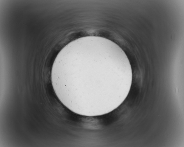 X0000085250421200703301814