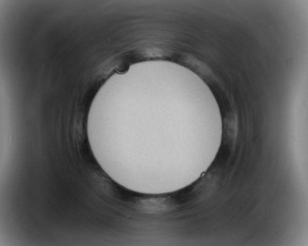 X0000085250422200703301814