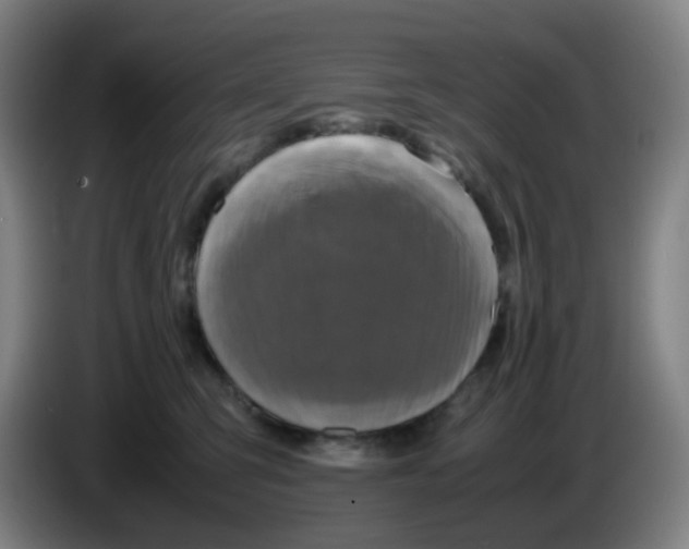 X0000085250423200703301814