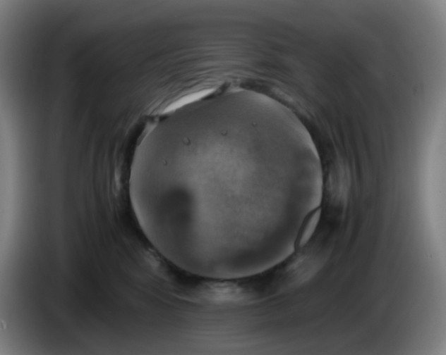 X0000085250424200703301814