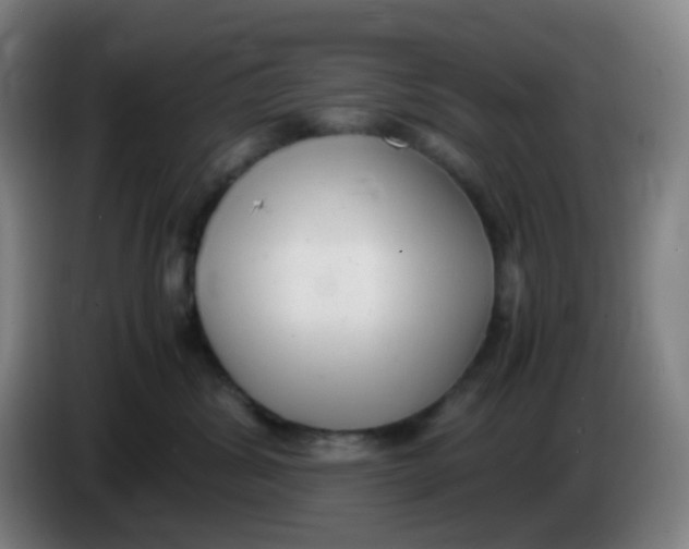 X0000085250428200703301814