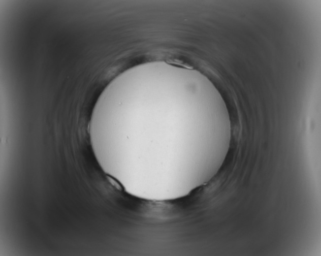 X0000085250429200703301814