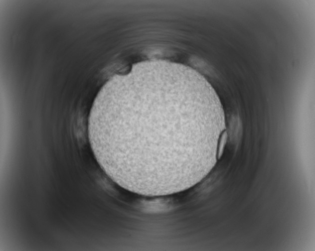 X0000085250430200703301814