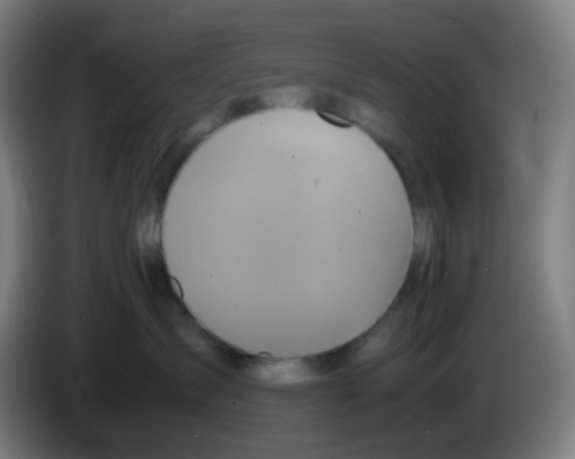 X0000085250431200703301814