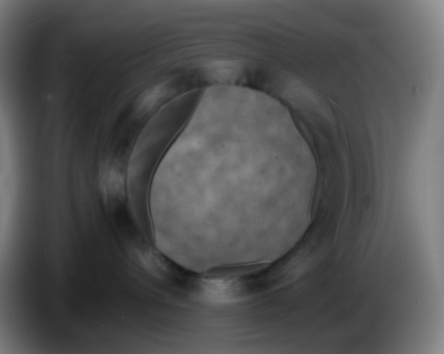 X0000085250432200703301814