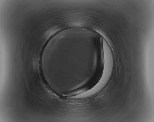 X0000085250434200703301814