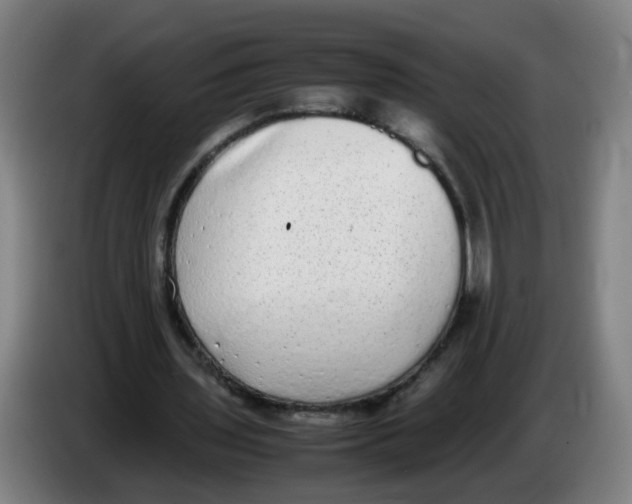 X0000085250435200703301814