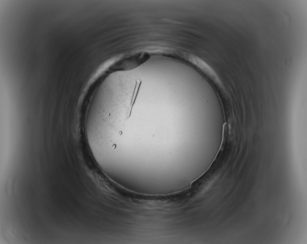 X0000085250436200703301814