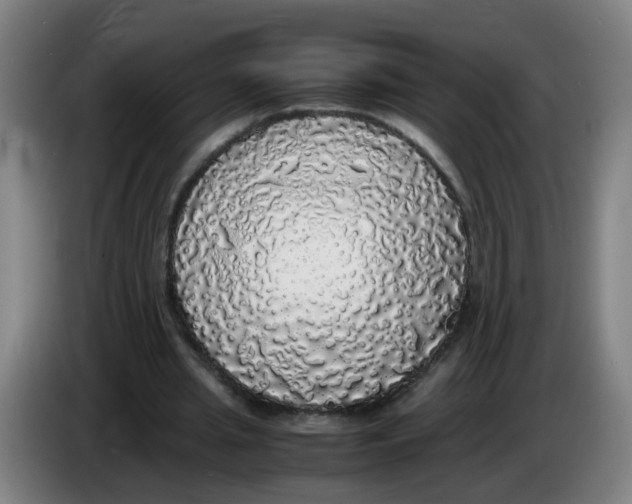 X0000085250437200703301814