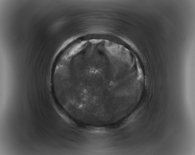 X0000085250438200703301814