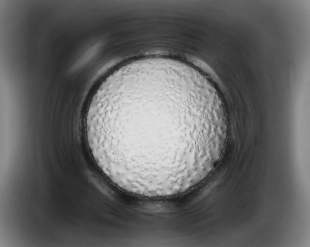 X0000085250439200703301814