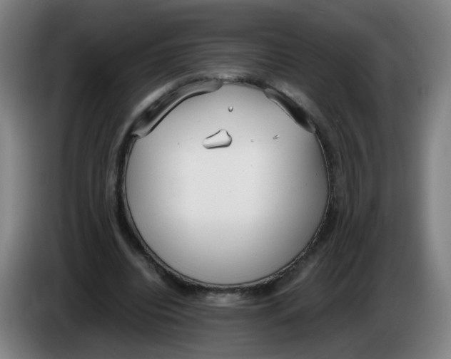 X0000085250440200703301814