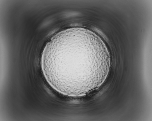 X0000085250441200703301814