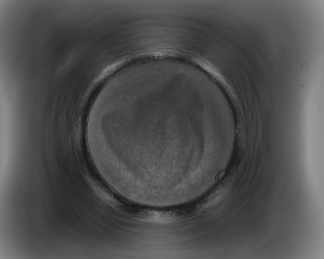 X0000085250442200703301814