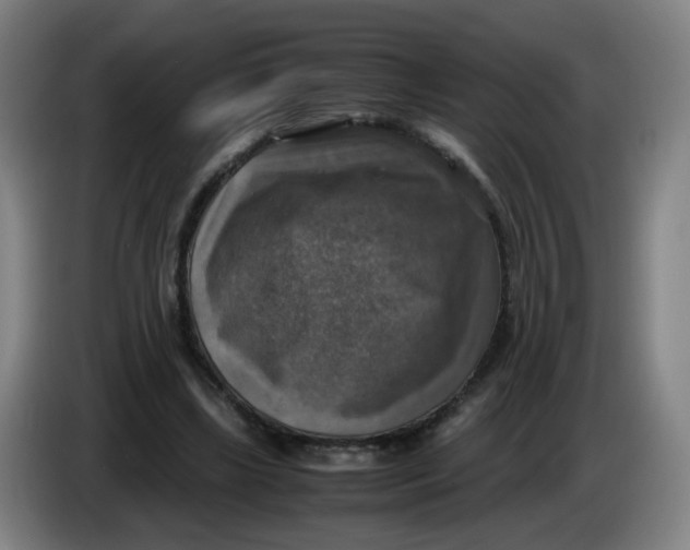 X0000085250443200703301814