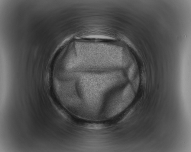 X0000085250444200703301814