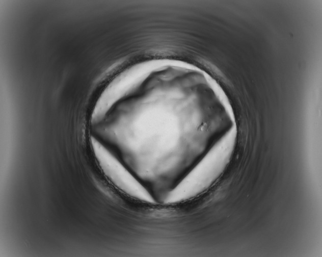 X0000085250446200703301814