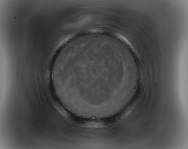 X0000085250447200703301814