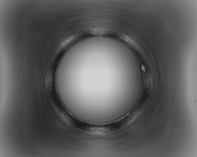 X0000085250448200703301814