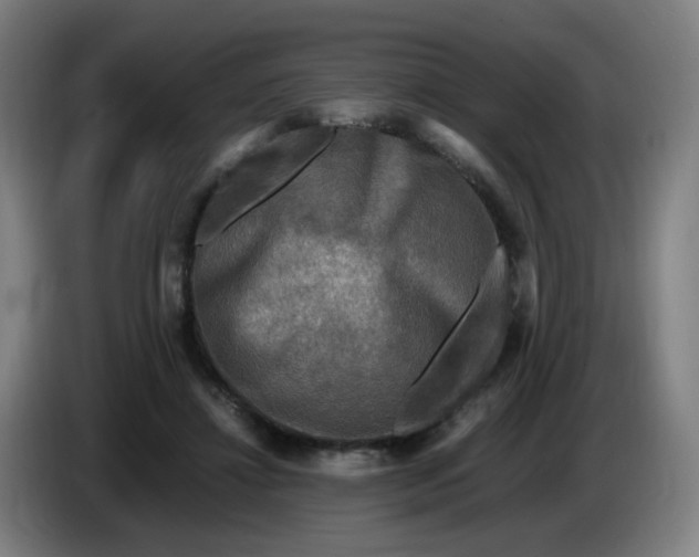 X0000085250452200703301814