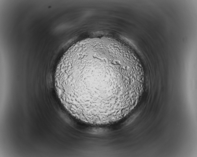 X0000085250453200703301814