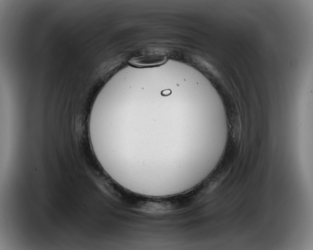 X0000085250455200703301814