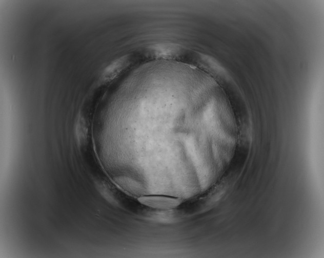 X0000085250456200703301814