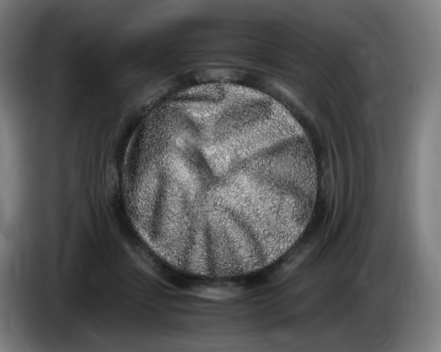 X0000085250459200703301814