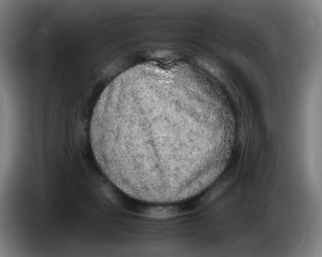 X0000085250461200703301814